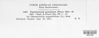 Pucciniastrum epilobii image